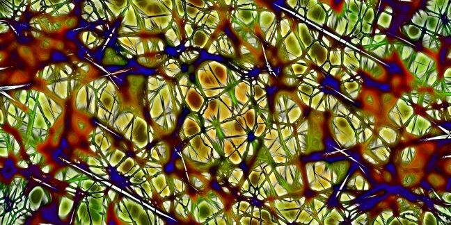 neurons-877575